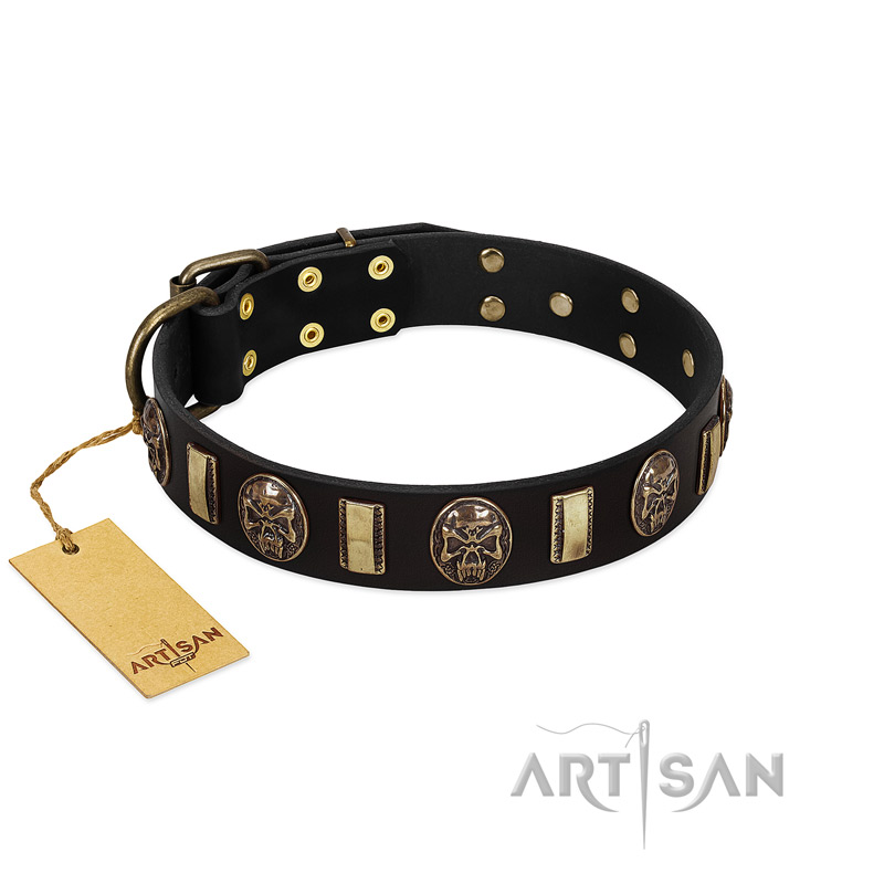 "Sea Romance" FDT Artisan Black Leather Golden Retriever Collar with Plates and Skulls