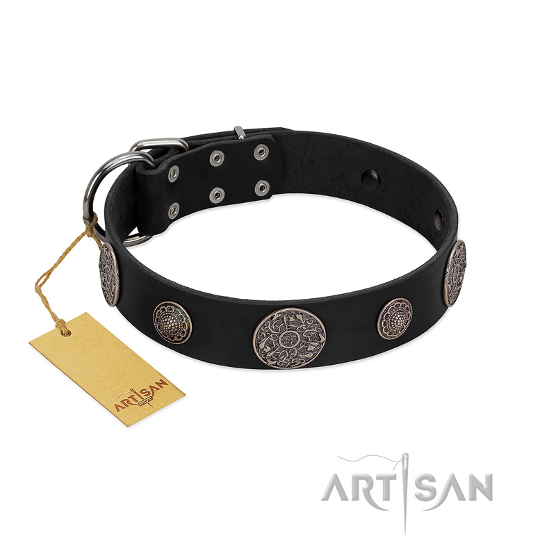 "Ad Infinitum" Durable FDT Artisan Black Leather Golden Retriever Collar with Chrome Plated Brooches