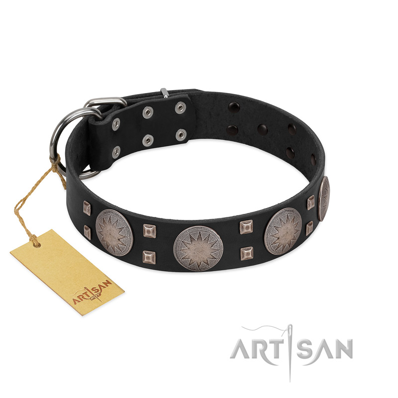 "Sun in Shining" Modern FDT Artisan Black Leather Golden Retriever Collar with Studs and Stars