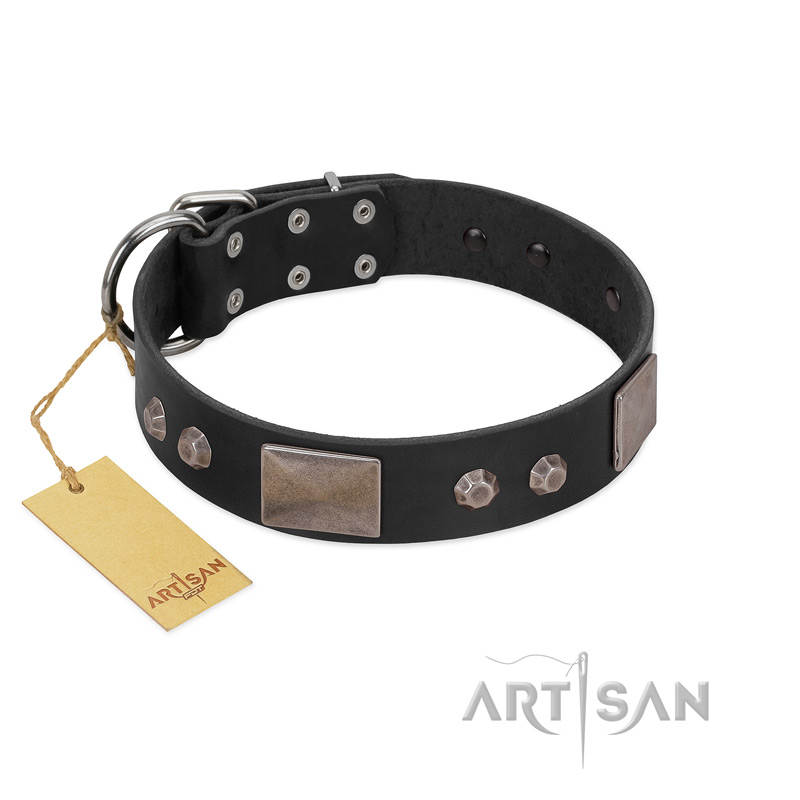 "Square Stars" Modern FDT Artisan Black Leather Golden Retriever Collar with Square Plates and Studs