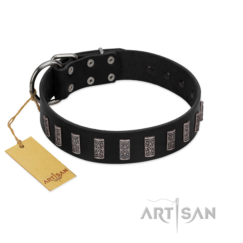 "Black Prince" Handmade FDT Artisan Black Leather Golden Retriever Collar with Silver-Like Adornments