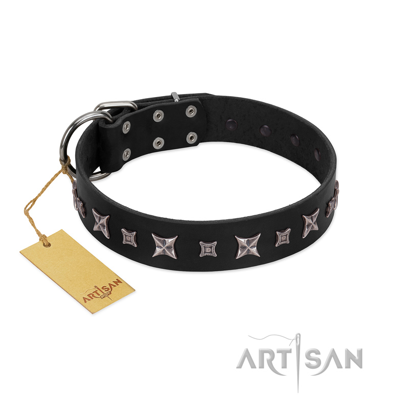 "Polar Lights" Designer FDT Artisan Black Leather Golden Retriever Collar with Silver-Like Studs