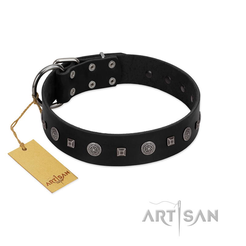 "Mr. Elegance" Designer FDT Artisan Black Leather Golden Retriever Collar with Silver-Like Studs