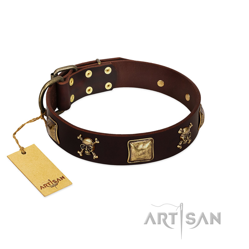 "Crazy Pirate" FDT Artisan Brown Leather Golden Retriever Collar with Old Bronze-Plated Skulls and Plates