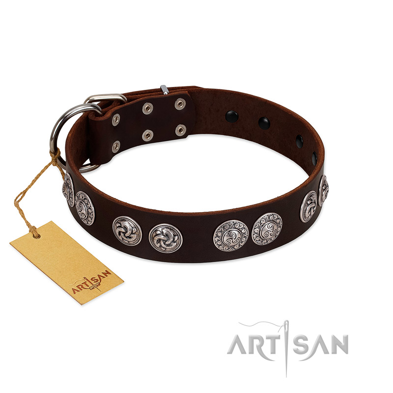 "High and Mighty" FDT Artisan Classy Brown Leather Golden Retriever Collar with Embellished Brooches