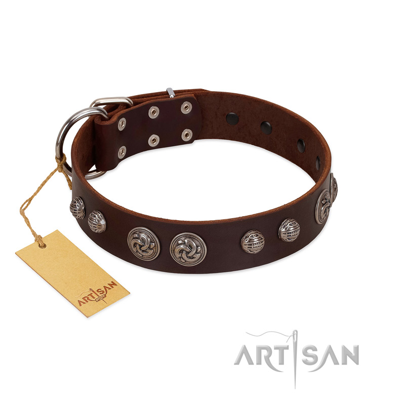 "Choco Brownie" FDT Artisan Brown Leather Golden Retriever Collar Adorned with Silver-Like Conchos