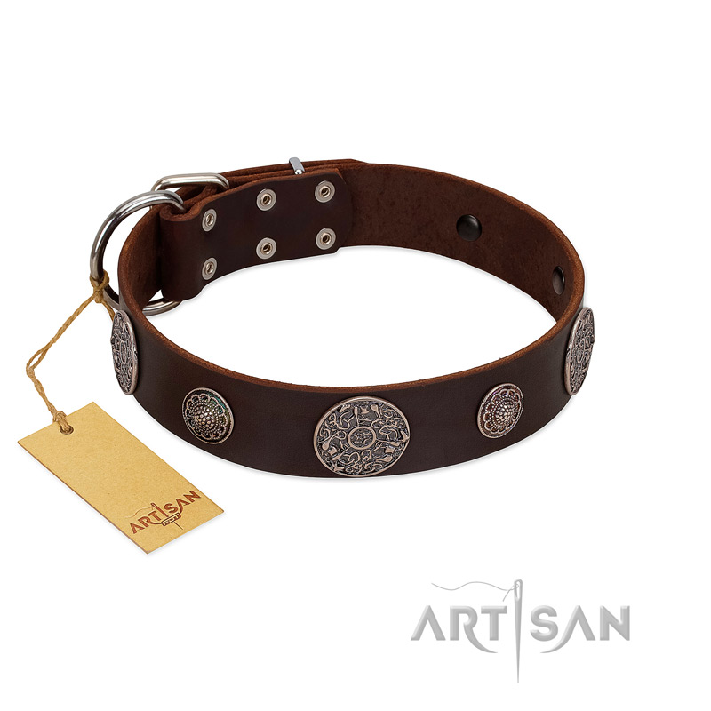 "Flashy Woof" FDT Artisan Brown Leather Golden Retriever Collar with Chrome Plated Brooches