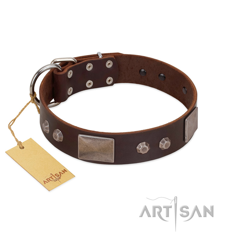 "Stone Stars" Stylish Handmade FDT Artisan Brown Leather Golden Retriever Collar