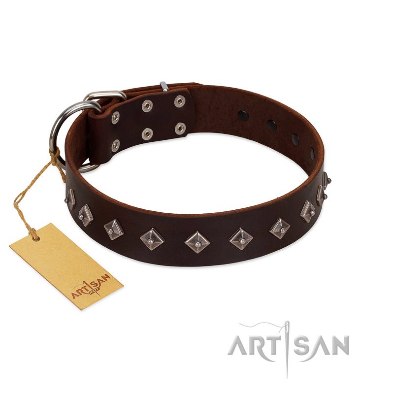 "Boundless Energy" Premium Quality FDT Artisan Brown Designer Leather Golden Retriever Collar with Small Pyramids