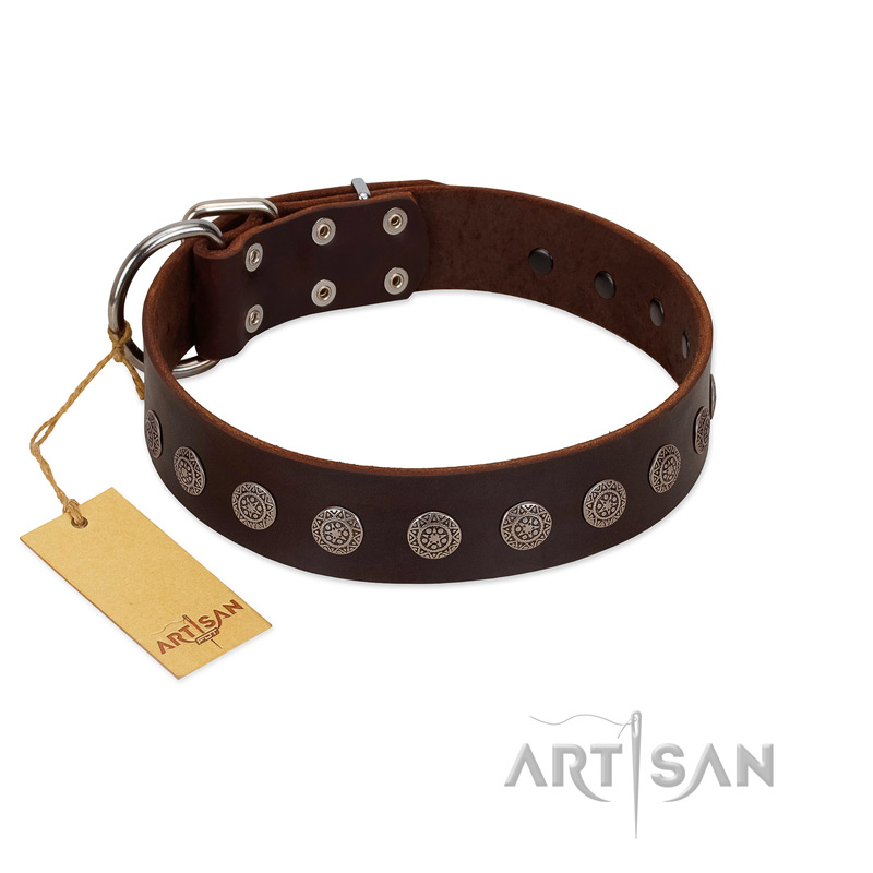 "Starry-Eyed" Best Quality FDT Artisan Brown Designer Leather Golden Retriever Collar with Small Plates