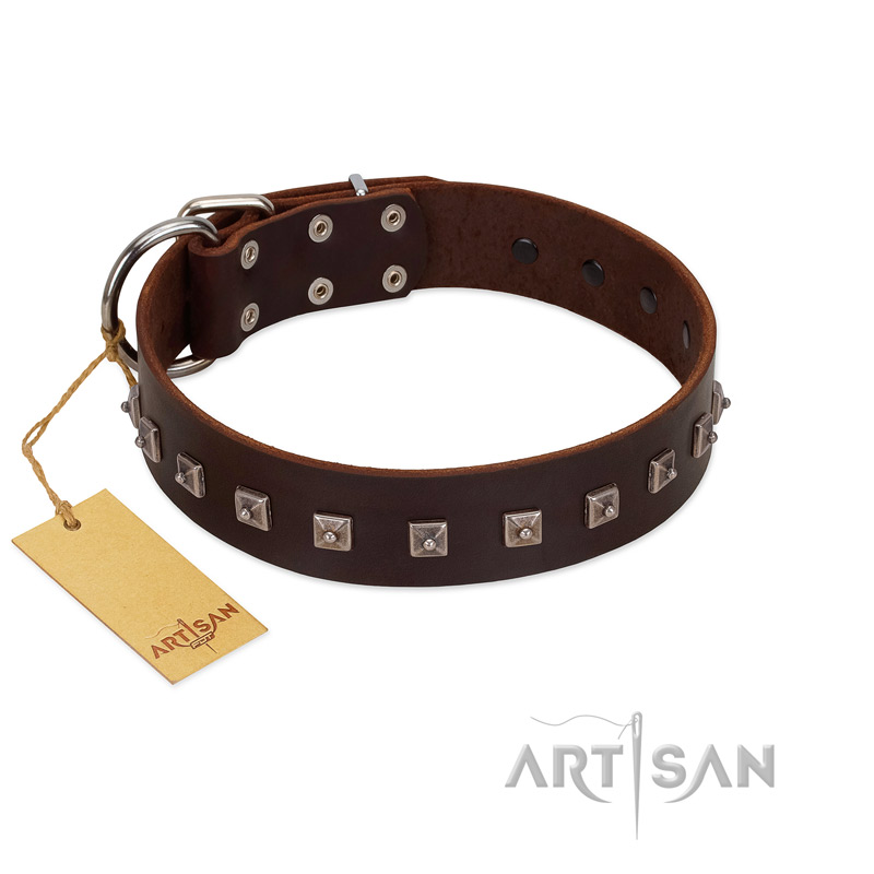 "Kingly Grace" FDT Artisan Brown Leather Golden Retriever Collar with Silver-like Dotted Studs