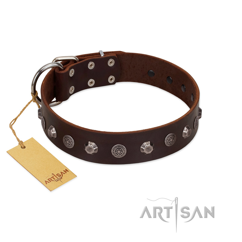 "Dark Chocolate" Handmade FDT Artisan Brown Leather Golden Retriever Collar with Studs