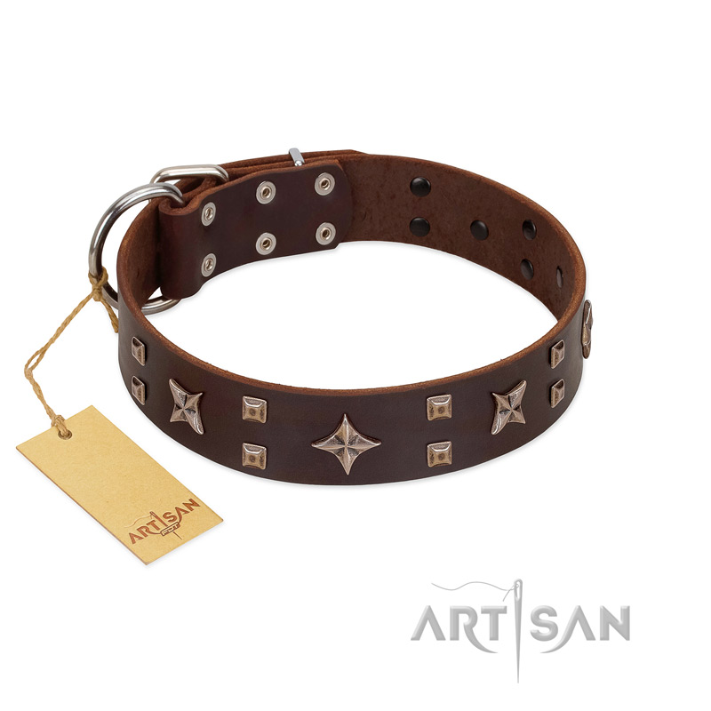 "Stars in Sands" Modern FDT Artisan Brown Leather Golden Retriever Collar with Studs and Stars