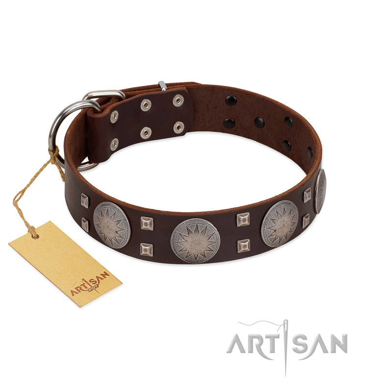 "Sun in Barchans" Modern FDT Artisan Brown Leather Golden Retriever Collar with Engraved Stars on Round Plates and Studs