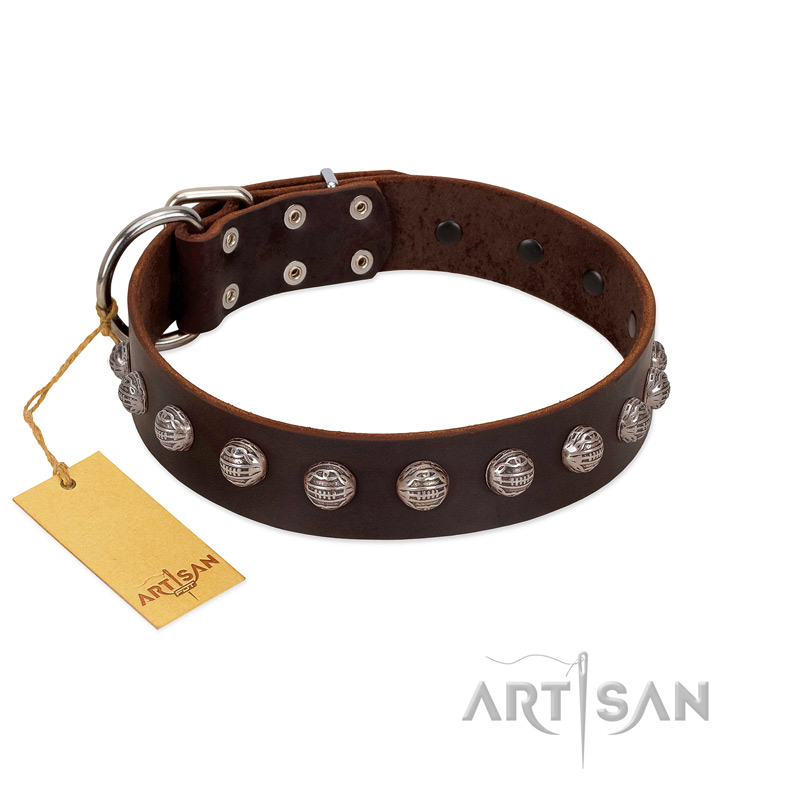 "Lucky Silver" Designer Handmade FDT Artisan Brown Leather Golden Retriever Collar