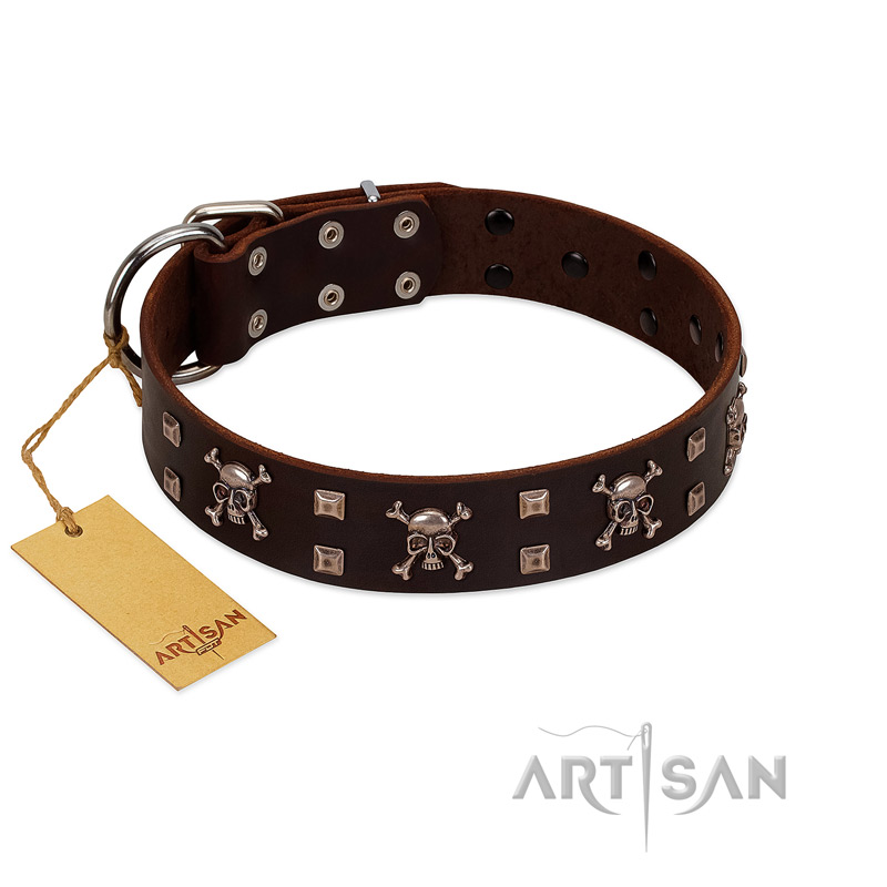 "Menacing Allure" FDT Artisan Brown Leather Golden Retriever Collar Embellished with Silvery Crossbones and Square Studs
