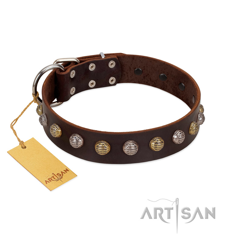 "Gape Buster" FDT Artisan Brown Leather Golden Retriever Collar with One Row of Studs