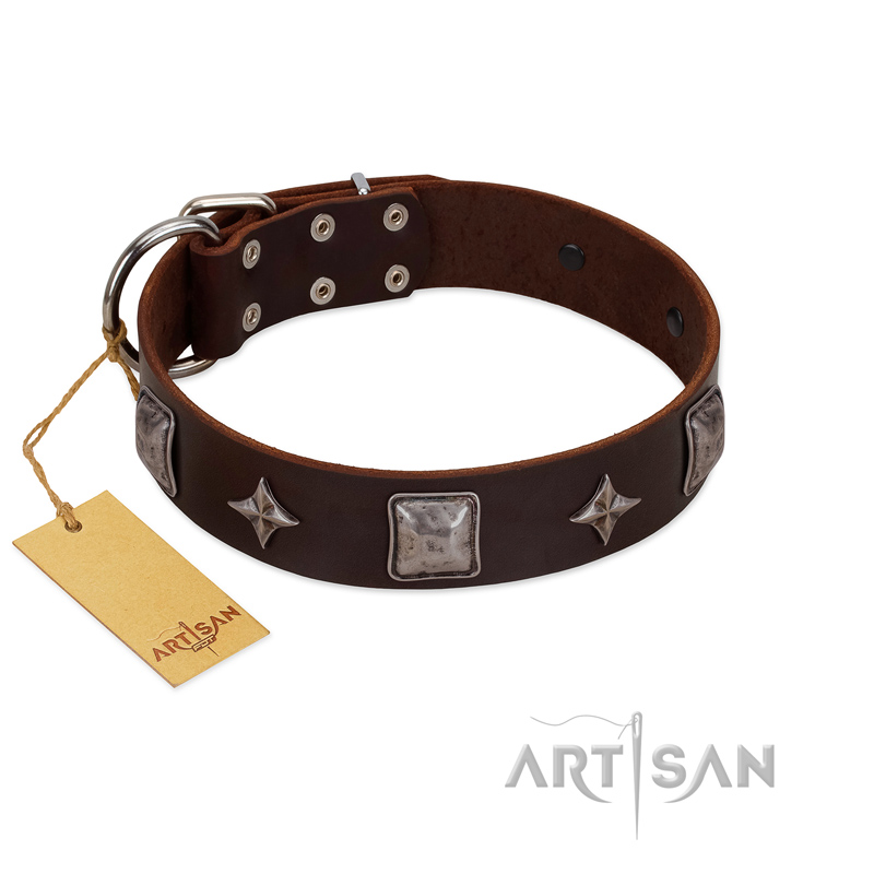 "Cold Star" Designer FDT Artisan Brown Leather Golden Retriever Collar with Silver-Like Adornments