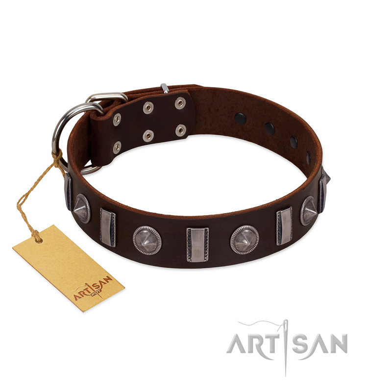 "Spiky Way" FDT Artisan Brown Leather Golden Retriever Collar with Silver-Like Decorations
