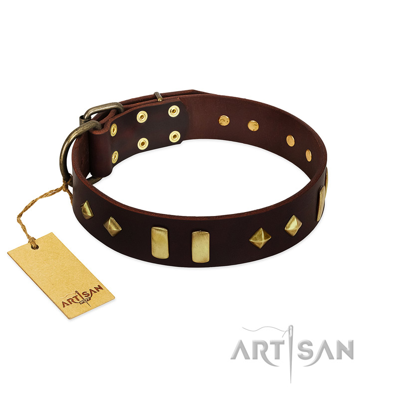 "Blinking Illusion" FDT Artisan Brown Leather Golden Retriever Collar with Old Bronze-like Studs and Plates