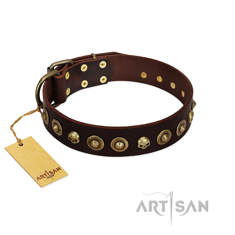 "Street Fashion" FDT Artisan Brown Leather Golden Retriever Collar Adorned with Circles and Skulls