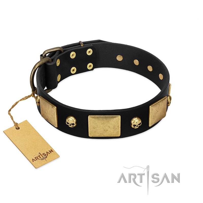 "Black Corsair" FDT Artisan Leather Golden Retriever Collar with Old Bronze-like Skulls and Plates