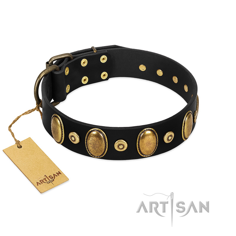 "Venerable Pawty" FDT Artisan Black Leather Golden Retriever Collar with Old Bronze-like Ovals and Studs