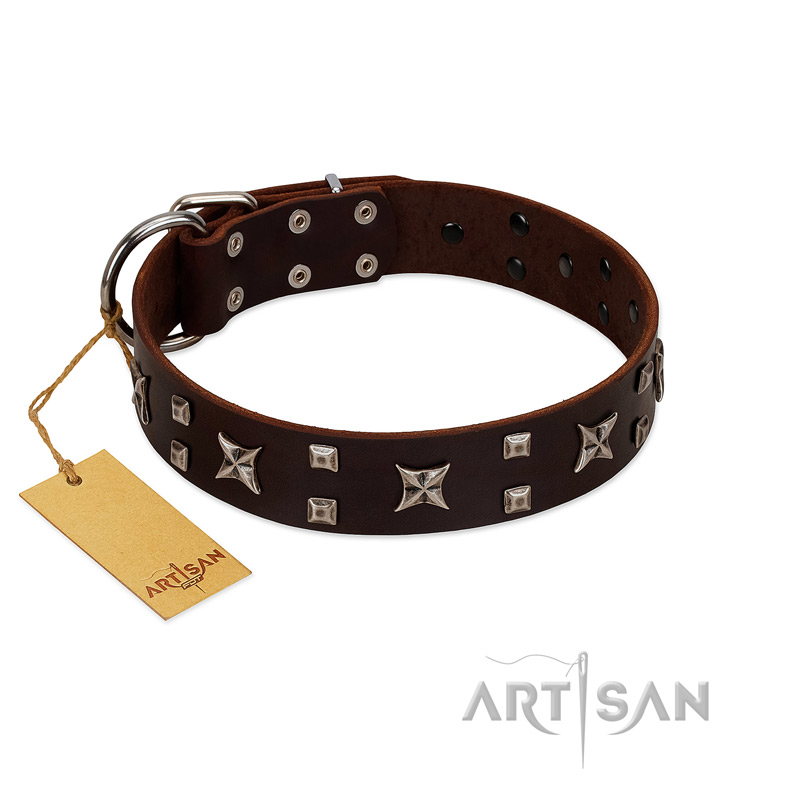 "Bigwig Woof" FDT Artisan Brown Leather Golden Retriever Collar with Chrome Plated Stars and Square Studs