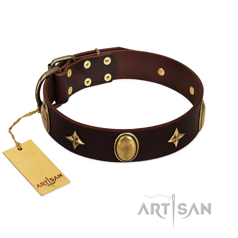 "Victory and Laurels" FDT Artisan Brown Leather Golden Retriever Collar with Ovals and Stars