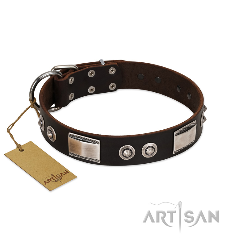 "Baller Status" FDT Artisan Brown Leather Golden Retriever Collar Adorned with a Set of Chrome Plated Studs and Plates