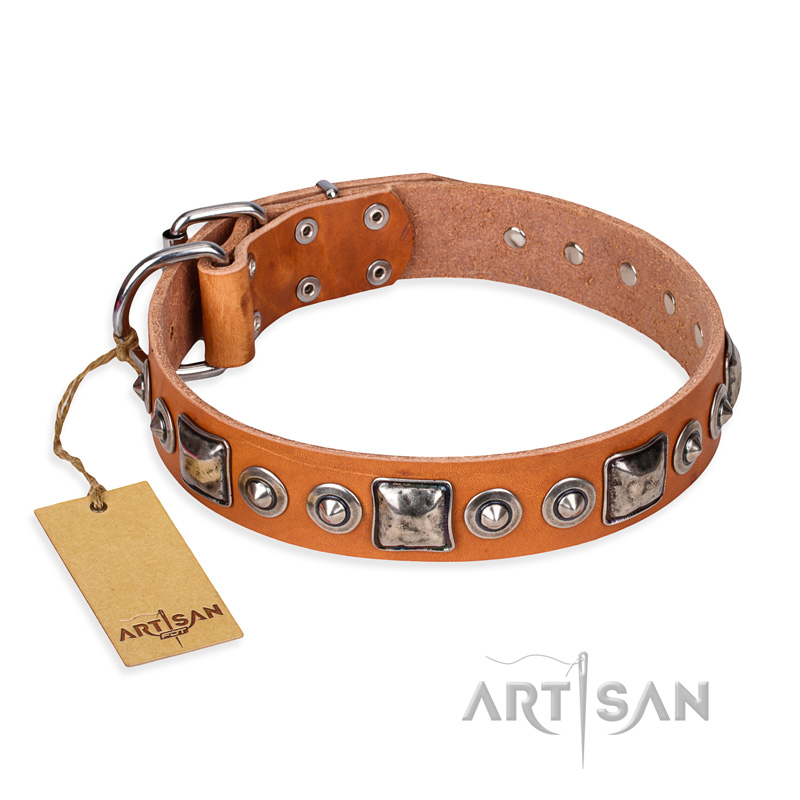 "Era of Future" FDT Artisan Handcrafted Tan Leather Golden Retriever Collar with Decorations