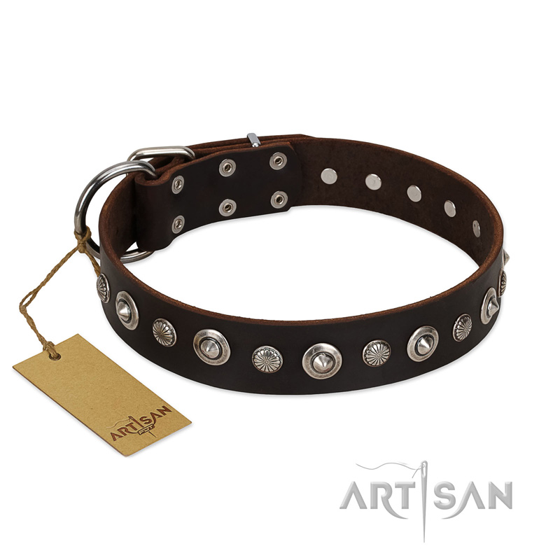 "Gorgeous Shields" FDT Artisan Brown Leather Golden Retriever Collar with Old Silver-like Circles and Small Camomiles