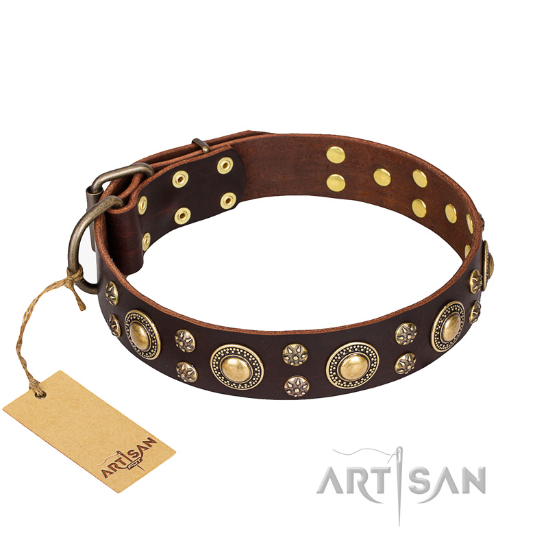 "Flower Melody" FDT Artisan Brown Leather Golden Retriever Collar with Mixed Studs