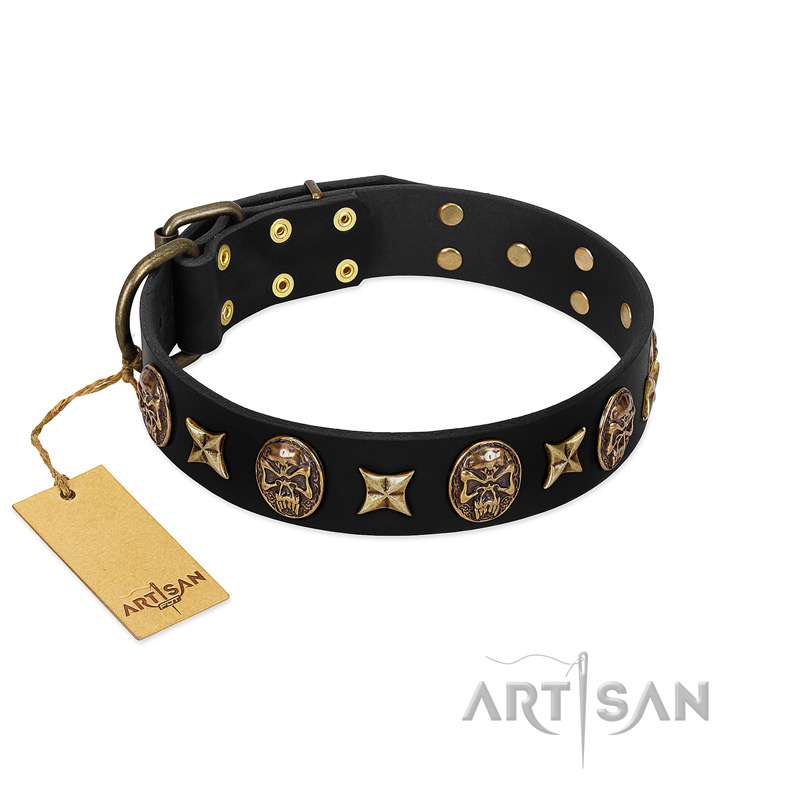 "Starry Saga" FDT Artisan Black Leather Golden Retriever Collar with Stars and Skulls - Click Image to Close