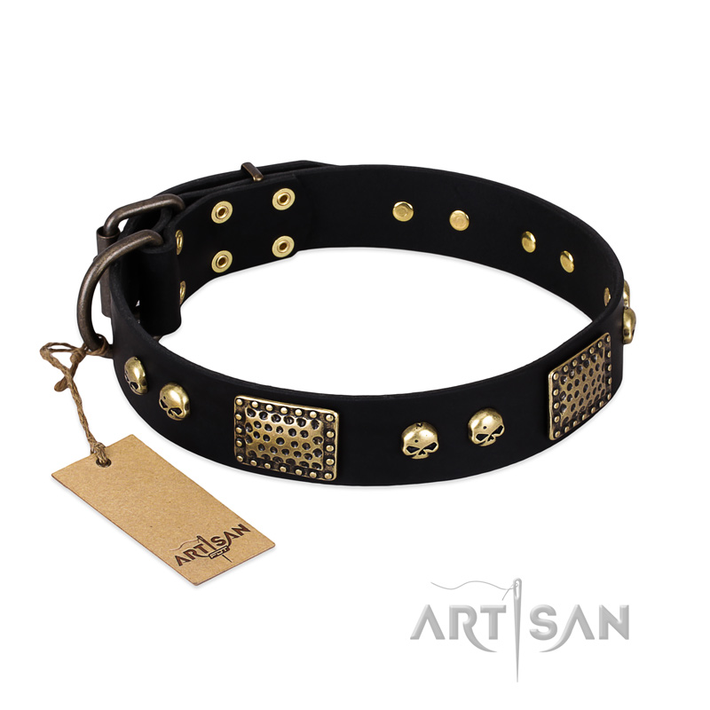 "Biker Style" FDT Artisan Black Leather Golden Retriever Collar with Old Bronze Look Plates and Skulls
