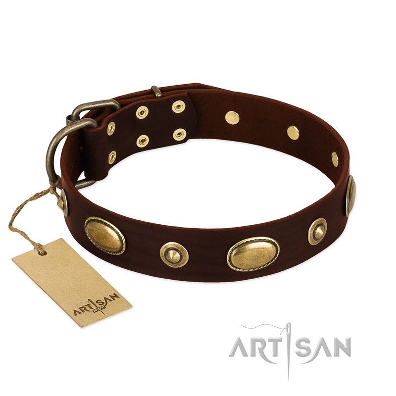 "Hebe's Jewel" FDT Artisan Brown Genuine Leather Golden Retriever Collar
