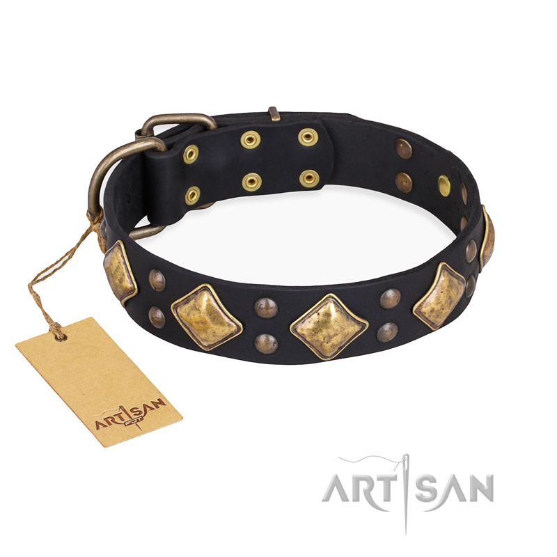 "Fancy-Schmancy" FDT Artisan Studded Leather Golden Retriever Collar