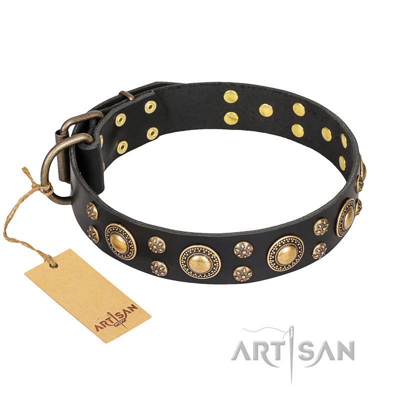 "Baroque Chic" FDT Artisan Studded Black Leather Golden Retriever Collar