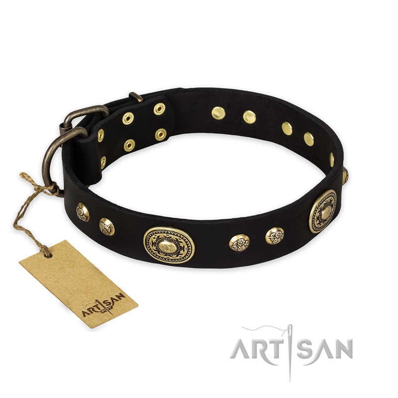 "High Fashion" FDT Artisan Studded with Plates Black Leather Golden Retriever Collar