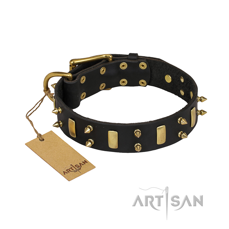 "Medieval Style" FDT Artisan Leather Golden Retriever Collar with Brass Plated Plates and Spikes