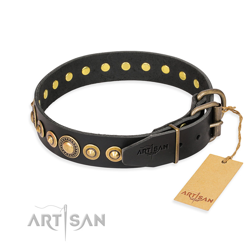 "Gold Mine" FDT Artisan Black Leather Golden Retriever Collar with Amazing Bronze-Plated Round Studs