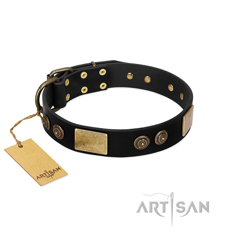 "Chicci-Glam" FDT Artisan Black Leather Golden Retriever Collar with Plates and Ornate Studs