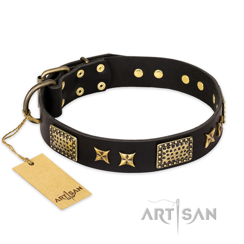 "Passion for Style and Beauty" FDT Artisan Decorated Black Leather Golden Retriever Collar