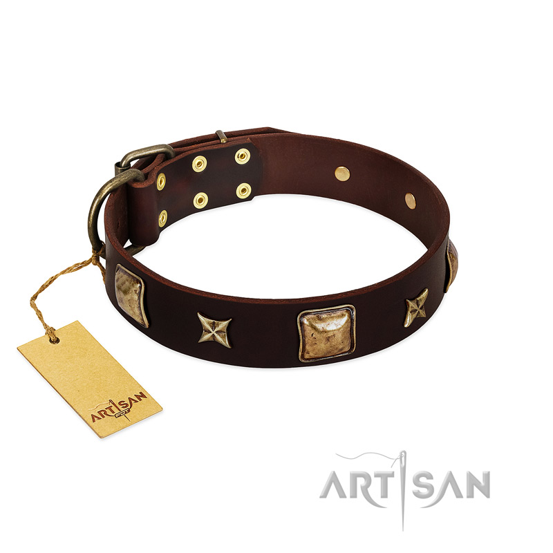 "Choco Dreams" FDT Artisan Brown Leather Golden Retriever Collar with Squares and Stars