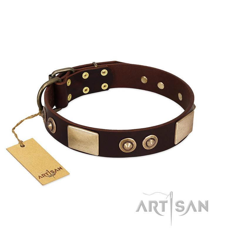 "Sense of Freedom" FDT Artisan Brown Leather Golden Retriever Collar with Old Bronze-Plated Studs and Plates