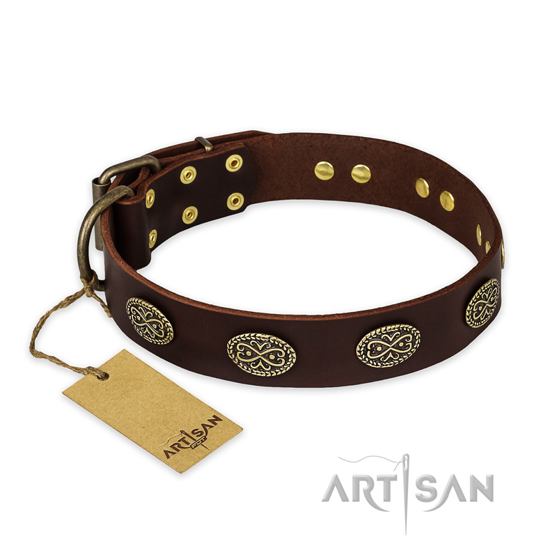 "Chocolate kiss" FDT Artisan Leather Golden Retriever Collar with Old Bronze Look Oval Plates