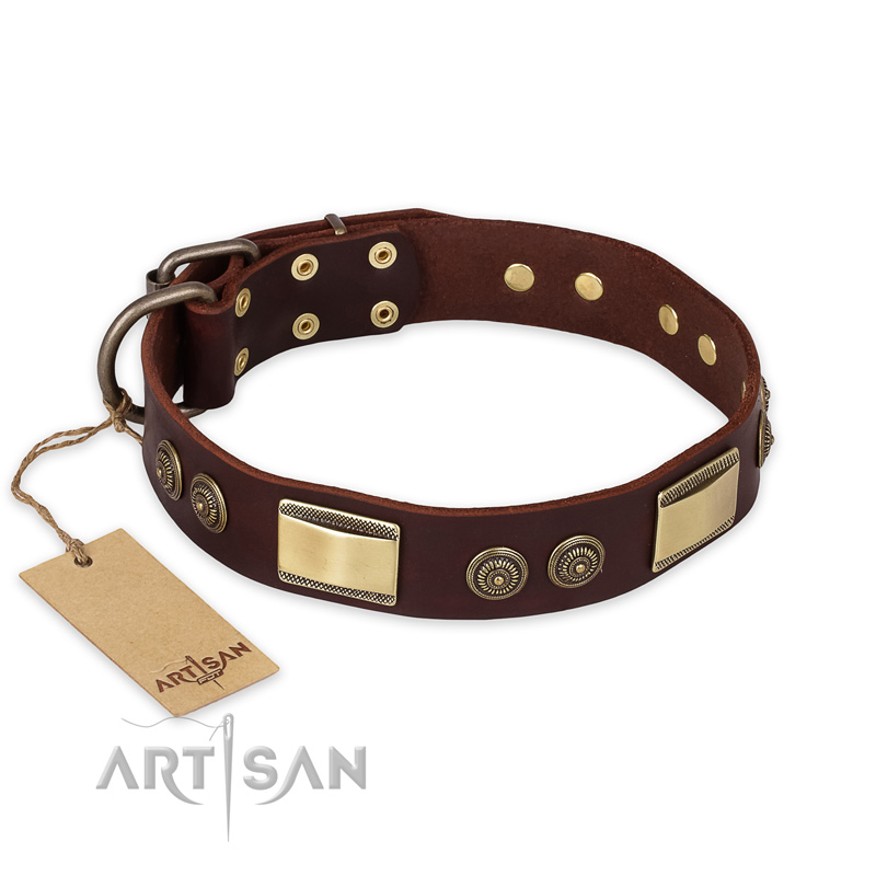 "Golden Stones" FDT Artisan Brown Leather Golden Retriever Collar with Old Bronze Look Plates and Circles