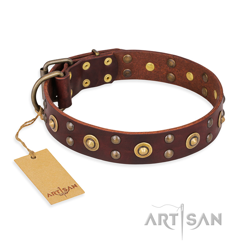 "Caprice of Fashion" FDT Artisan Brown Leather Golden Retriever Collar with Round Decorations