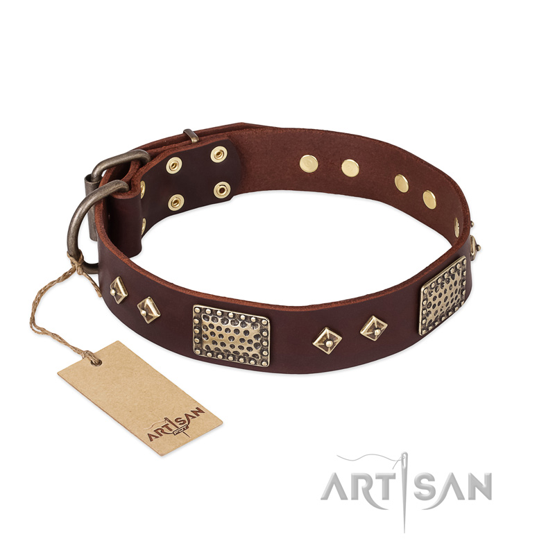 "Loving Owner" FDT Artisan Decorated Leather Golden Retriever Collar with Plates and Studs - Click Image to Close