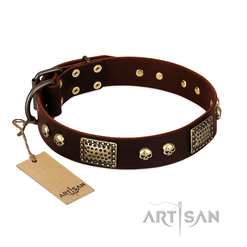 "Magic Amulet" Brown Leather Golden Retriever Collar with Skulls and Plates